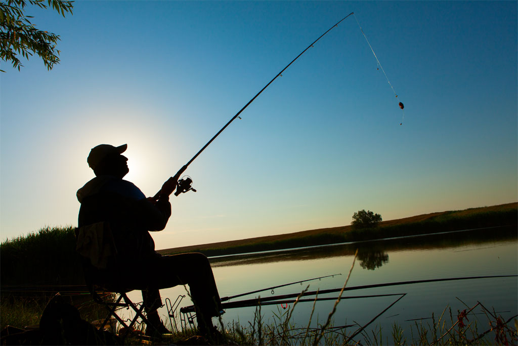 How to Identify the Perfect Fishing Equipment