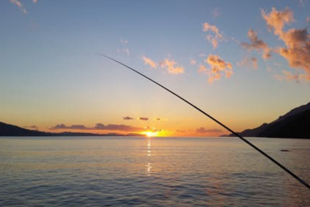 Best time for fishing in Goa