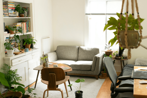 Living room decorated with plants