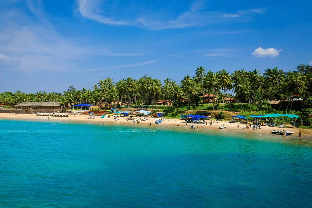 hotels near candolim beach in Goa