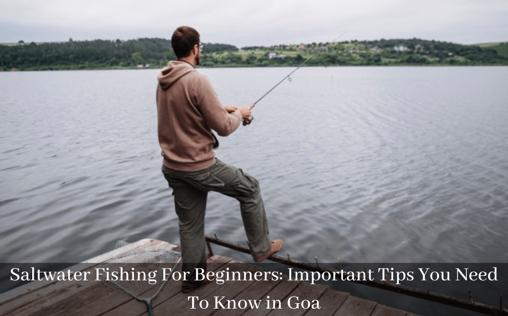 Saltwater Fishing For Beginners: Important Tips You Need To Know in Goa