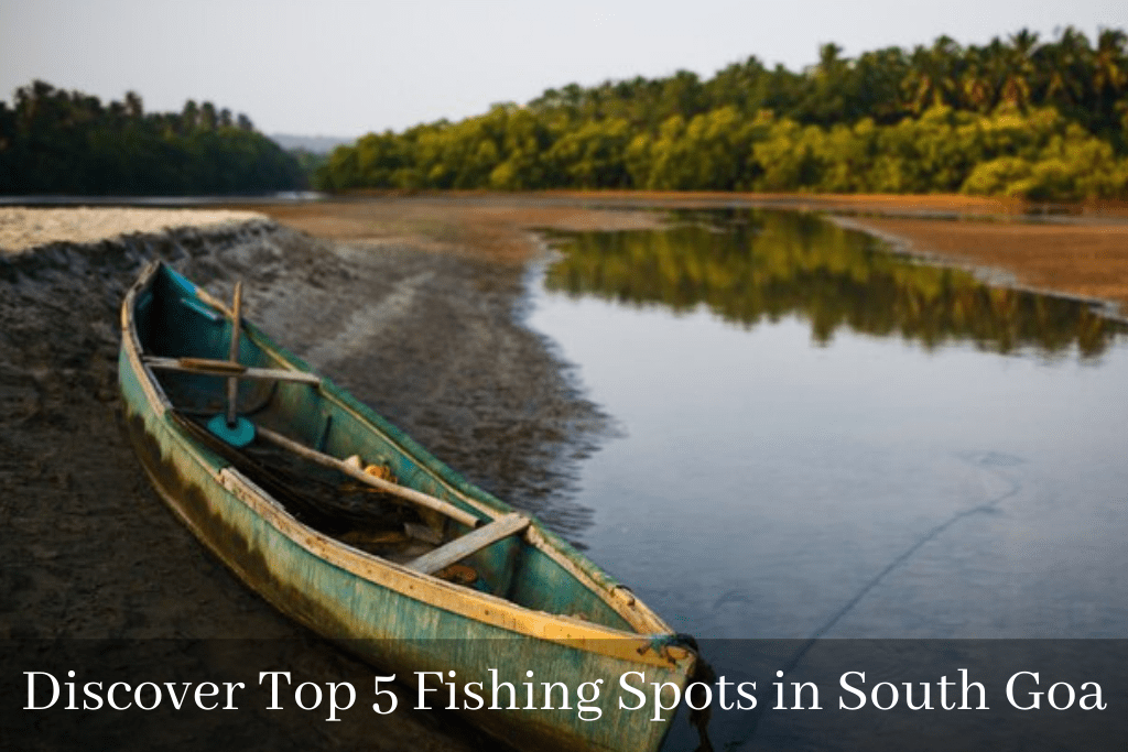 Discover Top 5 Fishing Spots in South Goa
