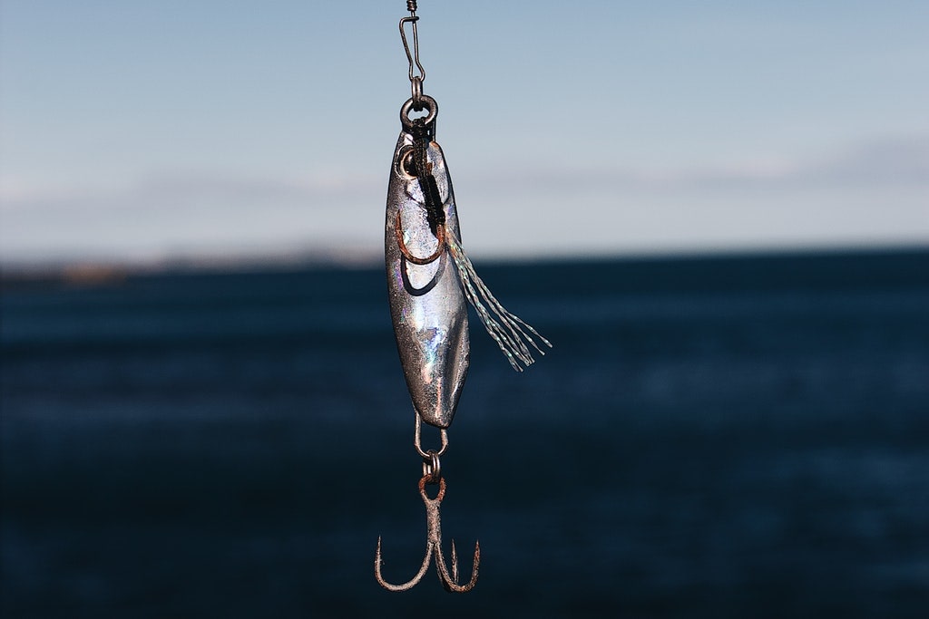 Everything You Ever Wanted to Know About Fishing Lures