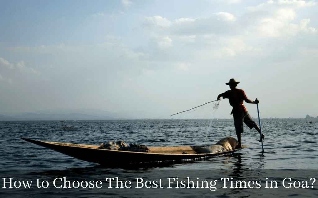 How to Choose The Best Fishing Times in Goa?